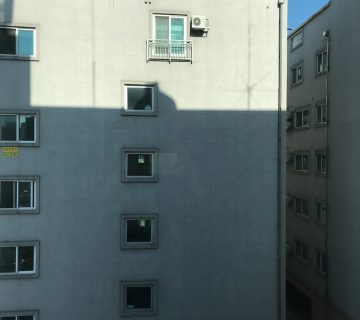 سئو وب سایت